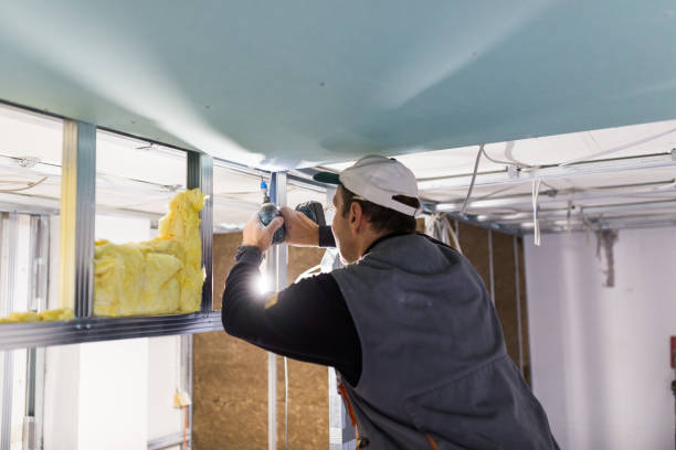 Best Insulation Installation Services in Itasca, TX