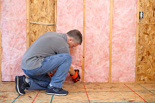 Best Insulation Installation Services in Itasca, TX